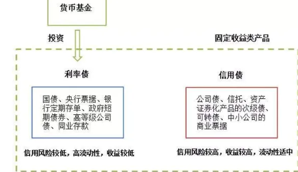 学习中心-什么是货币型基金，和普通的债券型基金有什么区别(2024年11月24日)